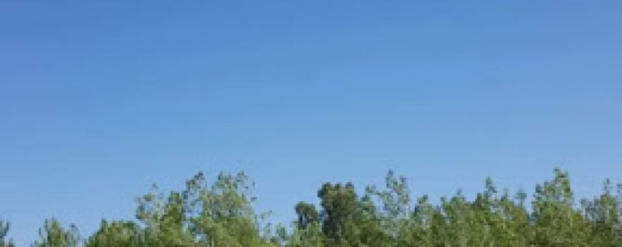 Kurtalan Belediyesi Berfin Yaşam Parkı
