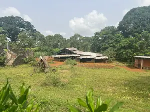 Roça do Terreiro Velho