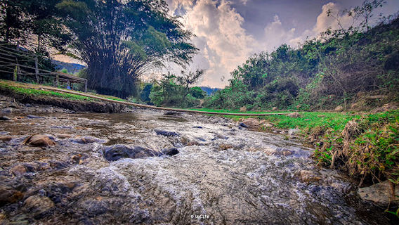 Chiang Dao Youth Camp