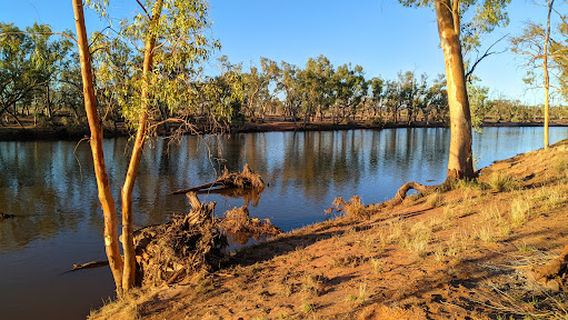 Owen Springs Reserve