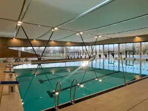 Palestra - Aquatic Center Wellness