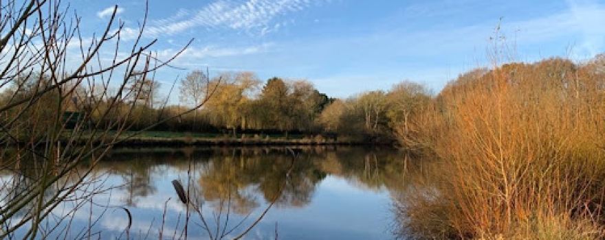 Carp Fishery Effingham