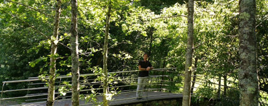 Mendibil-txarako Park