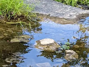 Sherrill Brook Park