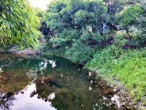Shivdara Parisar