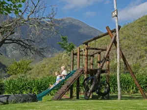 Pat Busch Mountain Reserve