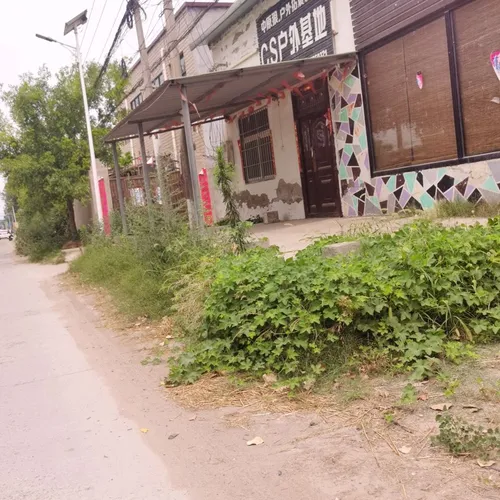 zhong yuan lang hu wai tuo zhan xun lian