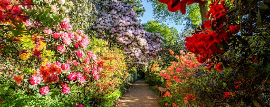 Leonardslee Lakes & Gardens