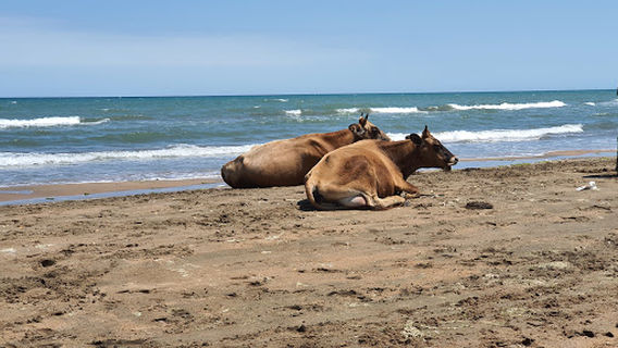 Park Patriot, Derbent