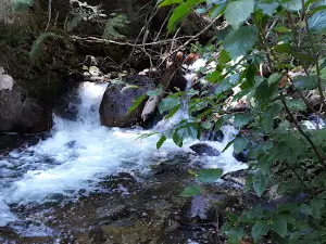 Ruby Ridge