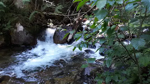 Ruby Ridge