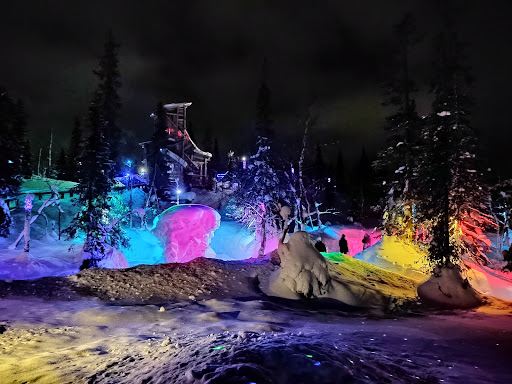 Art Park "Mystery Forest"