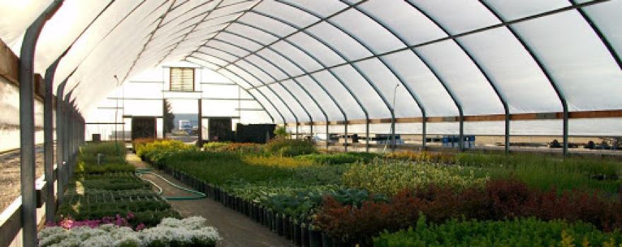 Patt's Garden Center