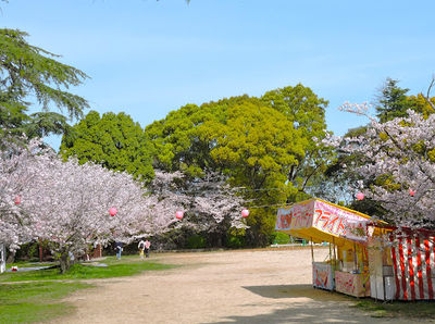 Enmei Park
