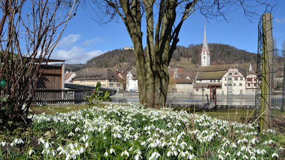 Stein am Rhein