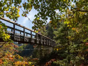 Tallulah Gorge Rim Trail