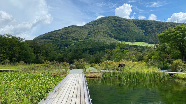 Hakone Botanical Garden of Wetlands