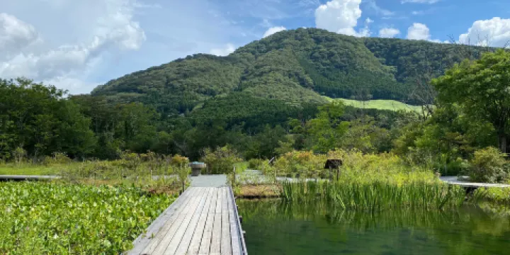 箱根濕生花園