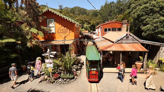 Driving Creek Railway