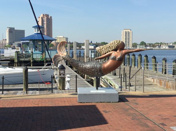 Town Point Park