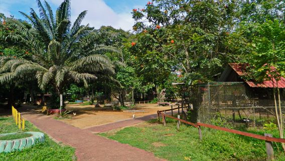 Paramaribo