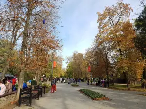 Gorky Park