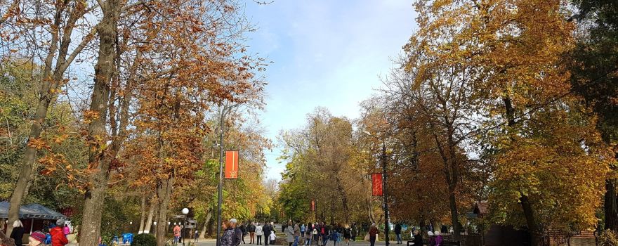 Gorky Park