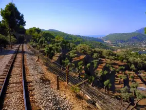 Tren De Soller