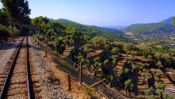 Tren De Soller