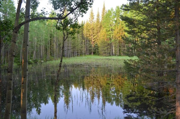Arapaho and Roosevelt National Forests and Pawnee National Grassland - Supervisor's Office