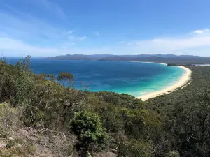 Disaster Bay lookout
