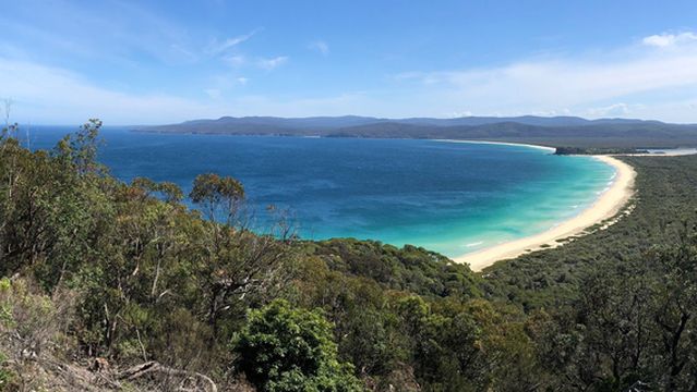 Disaster Bay lookout