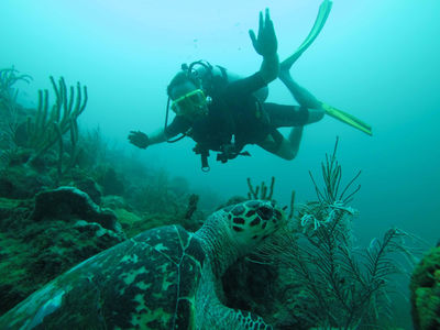 Undersea Tobago