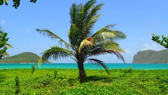 Sandy Beach