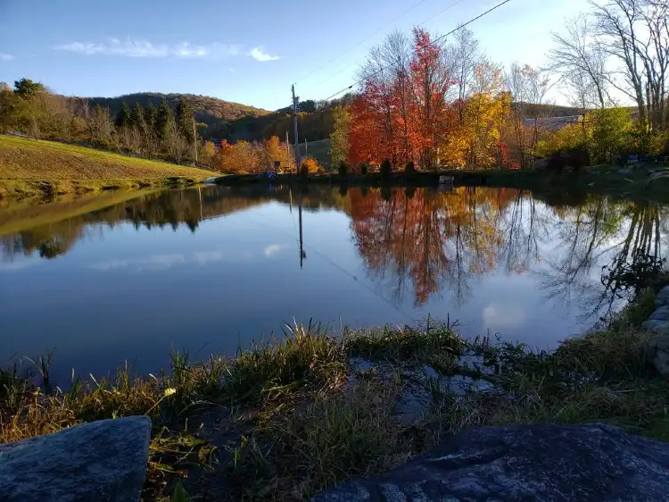 Avery County