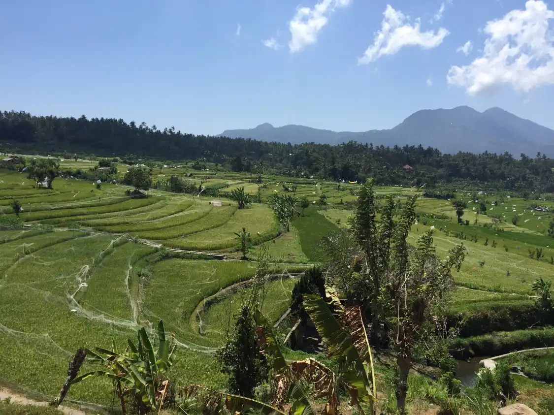 Hotel in zona Side By Side Organic Farm