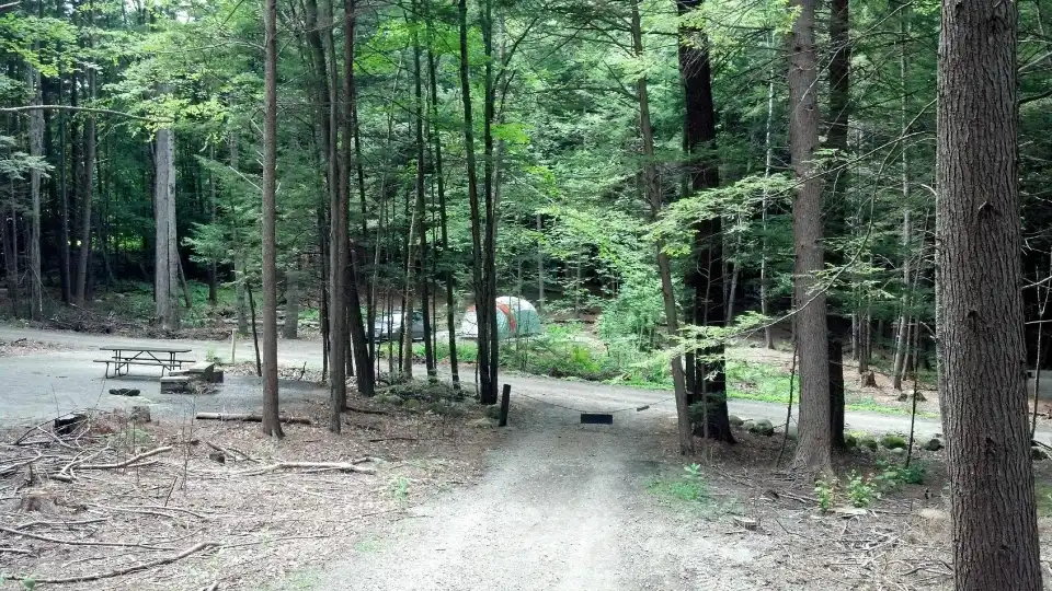 2_Fort Dummer State Park
