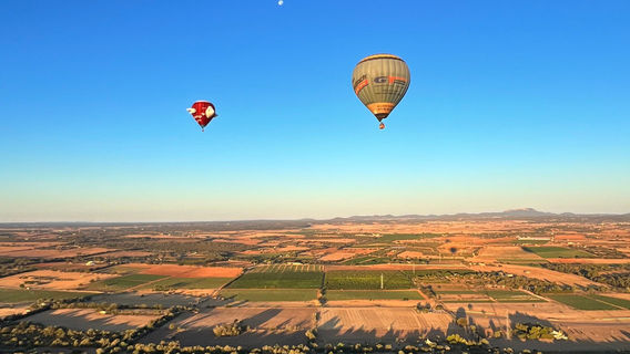 Manacor