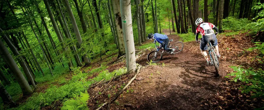 Hotels near Single Track