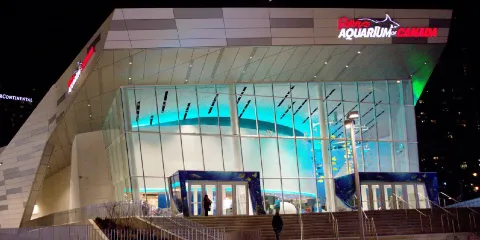 加拿大瑞普利水族館