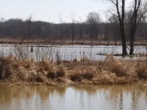 Killbuck Marsh Wildlife Area