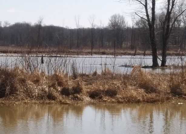 Killbuck Marsh Wildlife Area
