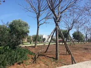 Parco Antonio Di Giulio