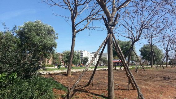 Parco Antonio Di Giulio