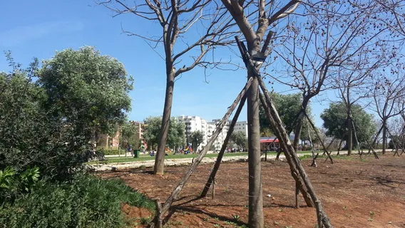 Parco Antonio Di Giulio