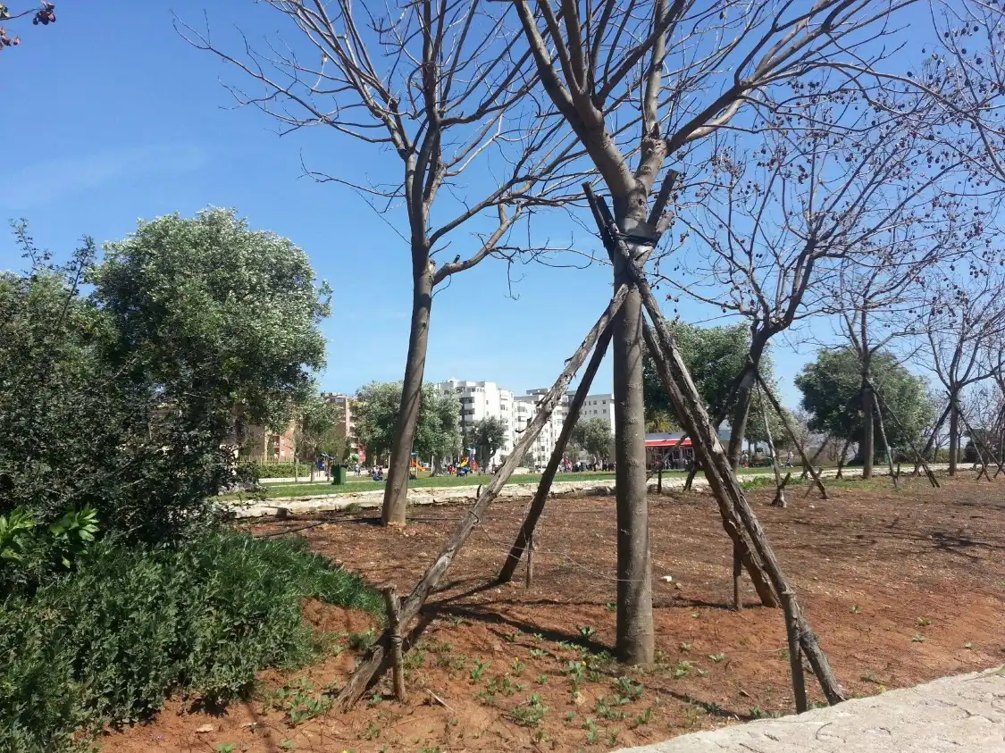 Hotels near Parco Antonio Di Giulio