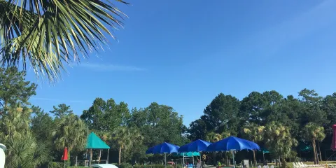 Mount Pleasant Palmetto Islands County Park