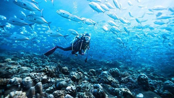 Scuba Libre Diving