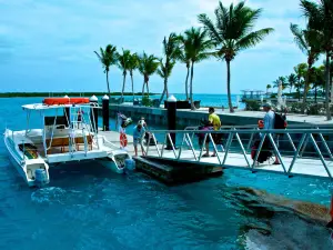 Caicos Catalyst Charters & Excursions