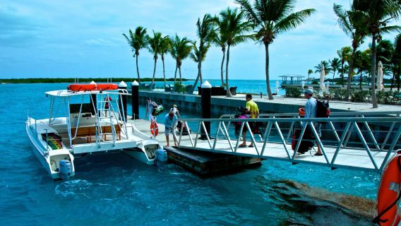 Caicos Catalyst Charters & Excursions